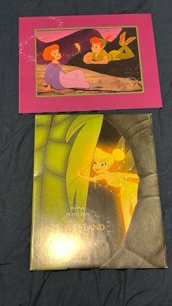 Disney Store Exclusive Peter Pan Return to Never Land Lithograph