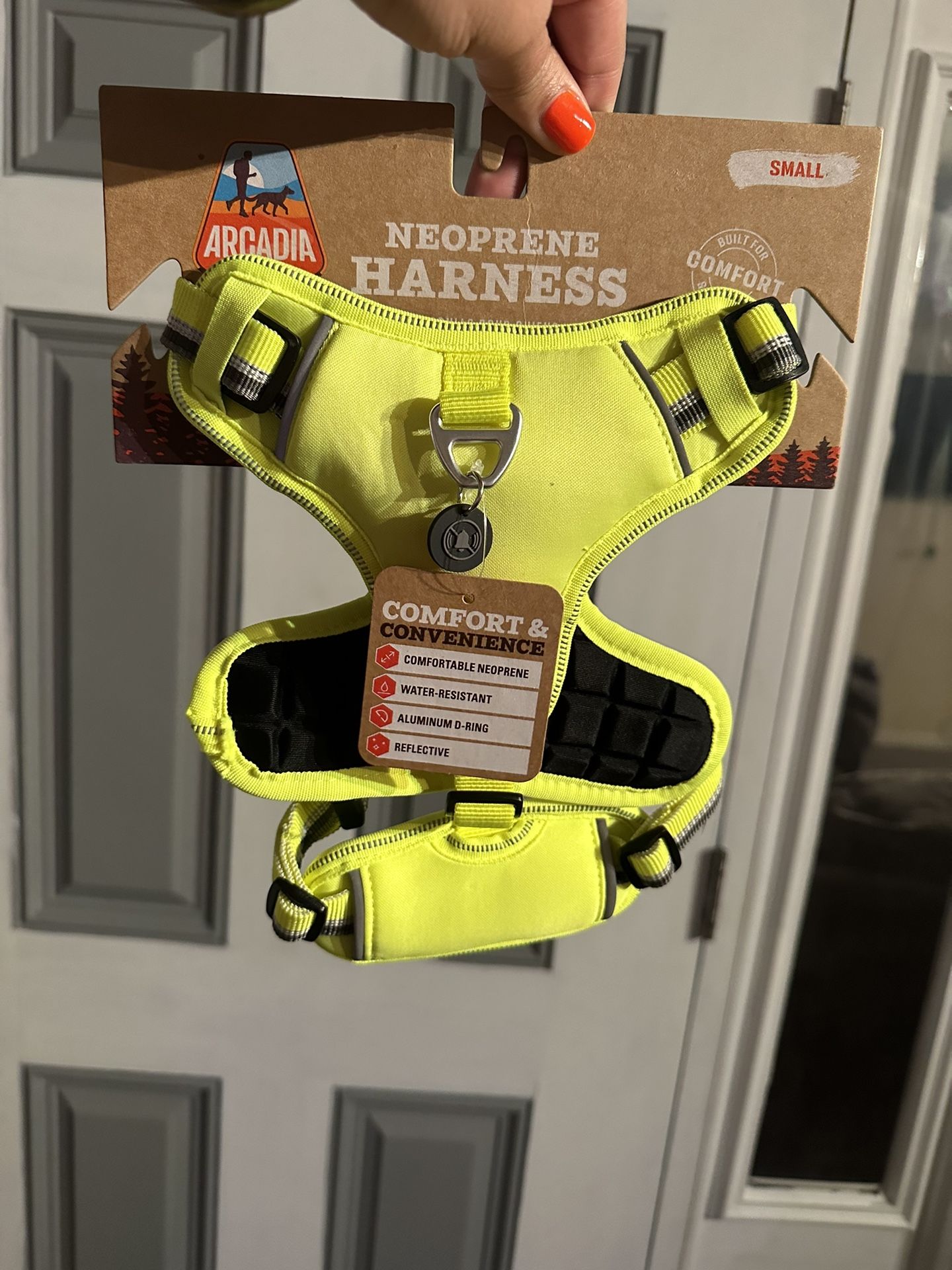 Small Dog Lot This *Sunday Pick Up SALE! 10/8
