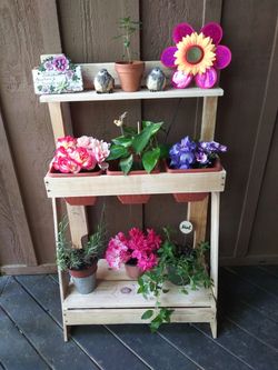 Garden Spring Flower or Herb planter.