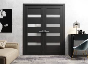 Frosted Glass Double doors (indoor)