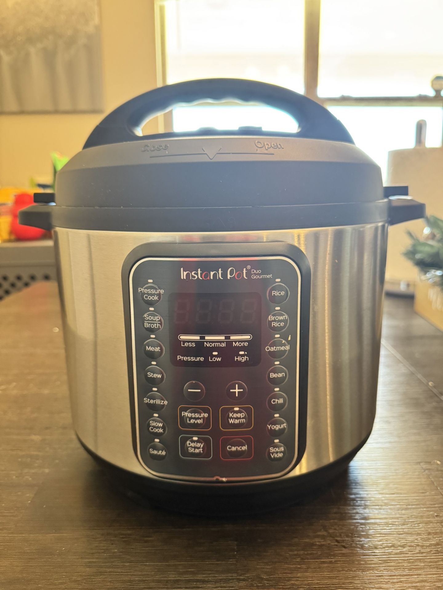 Instant Pot Duo Gourmet