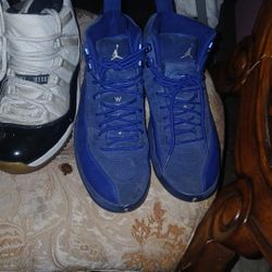 Retro Jordan's 12 And 11s Size 8.5