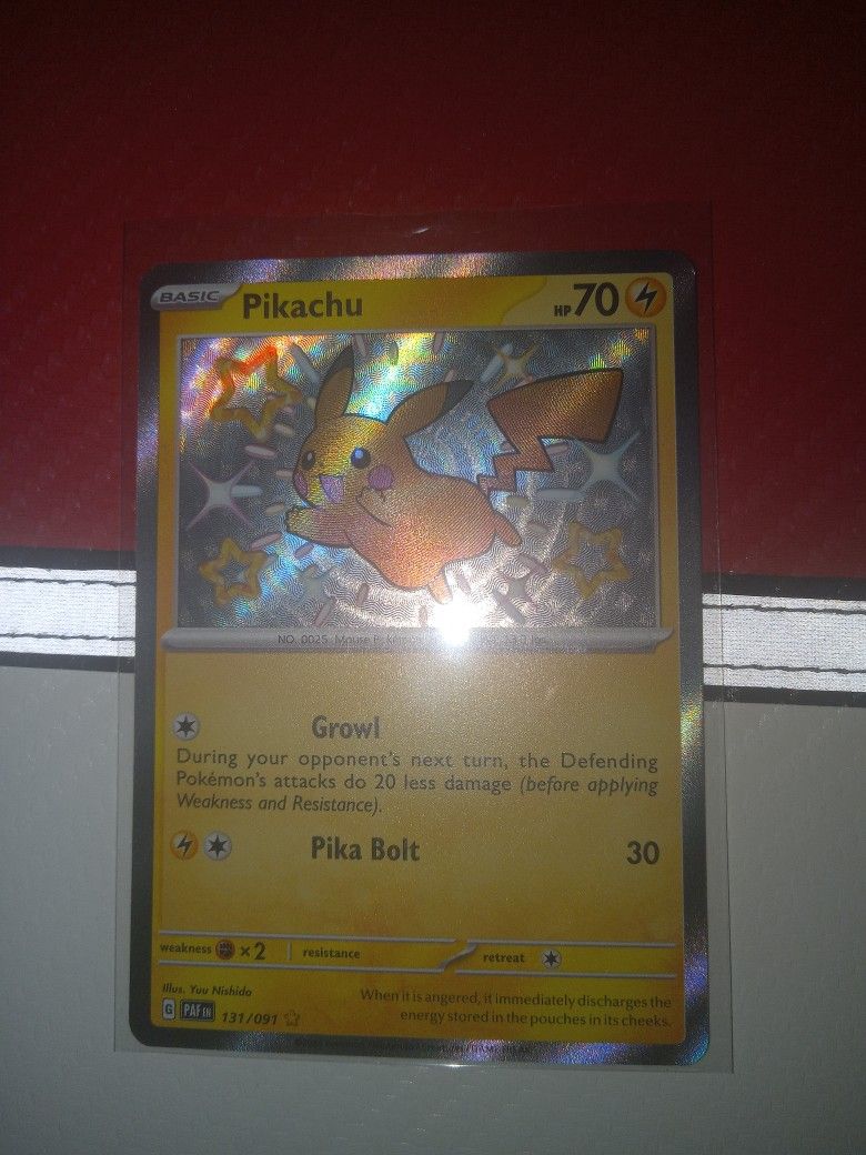 Shiny Pikachu & Pikachu Libre