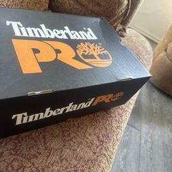 Timberland Shoes 