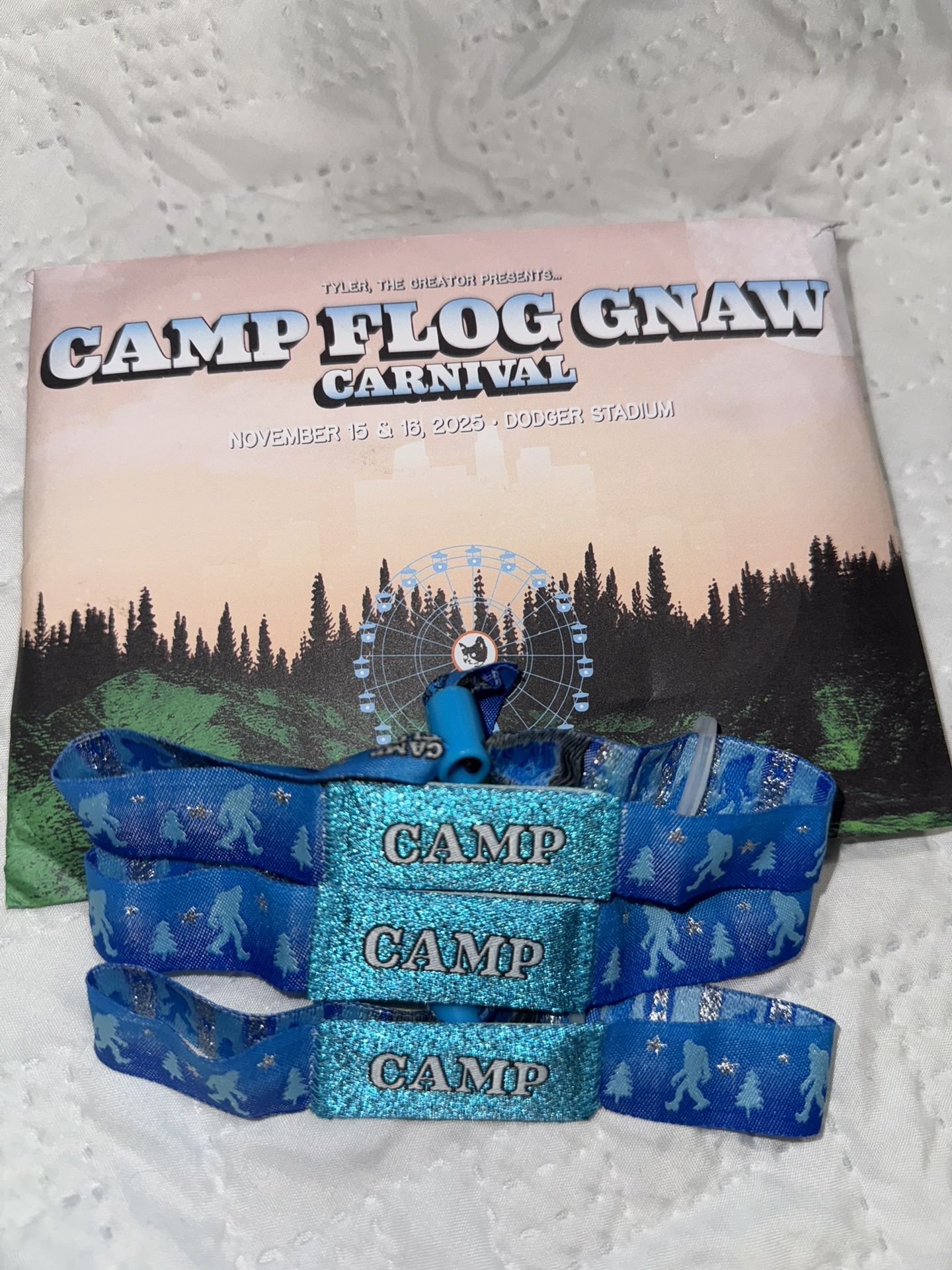 Camp Flog Gnaw