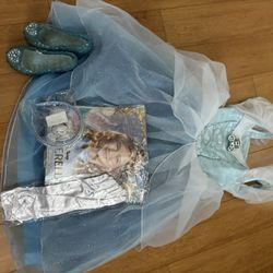 Cinderella Costume