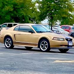 2000 Ford Mustang