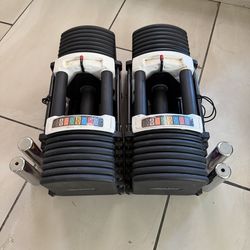 Pro Powerblocks 5-90lbs adjustable weights