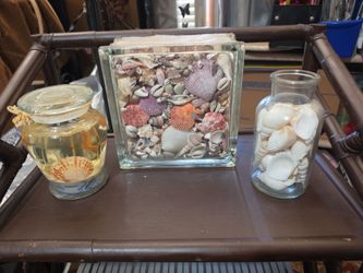 Shell Decor