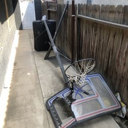 Portable Basketball Hoop 12ft High 