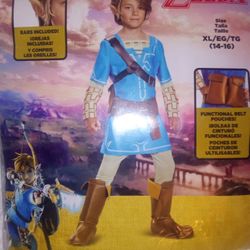Link Costume 