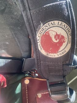 Carpenter occidental bags