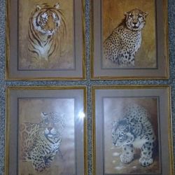 Pictures In Frames (Safari)