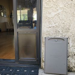 Dog Door