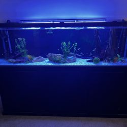 Aquariums For Sale