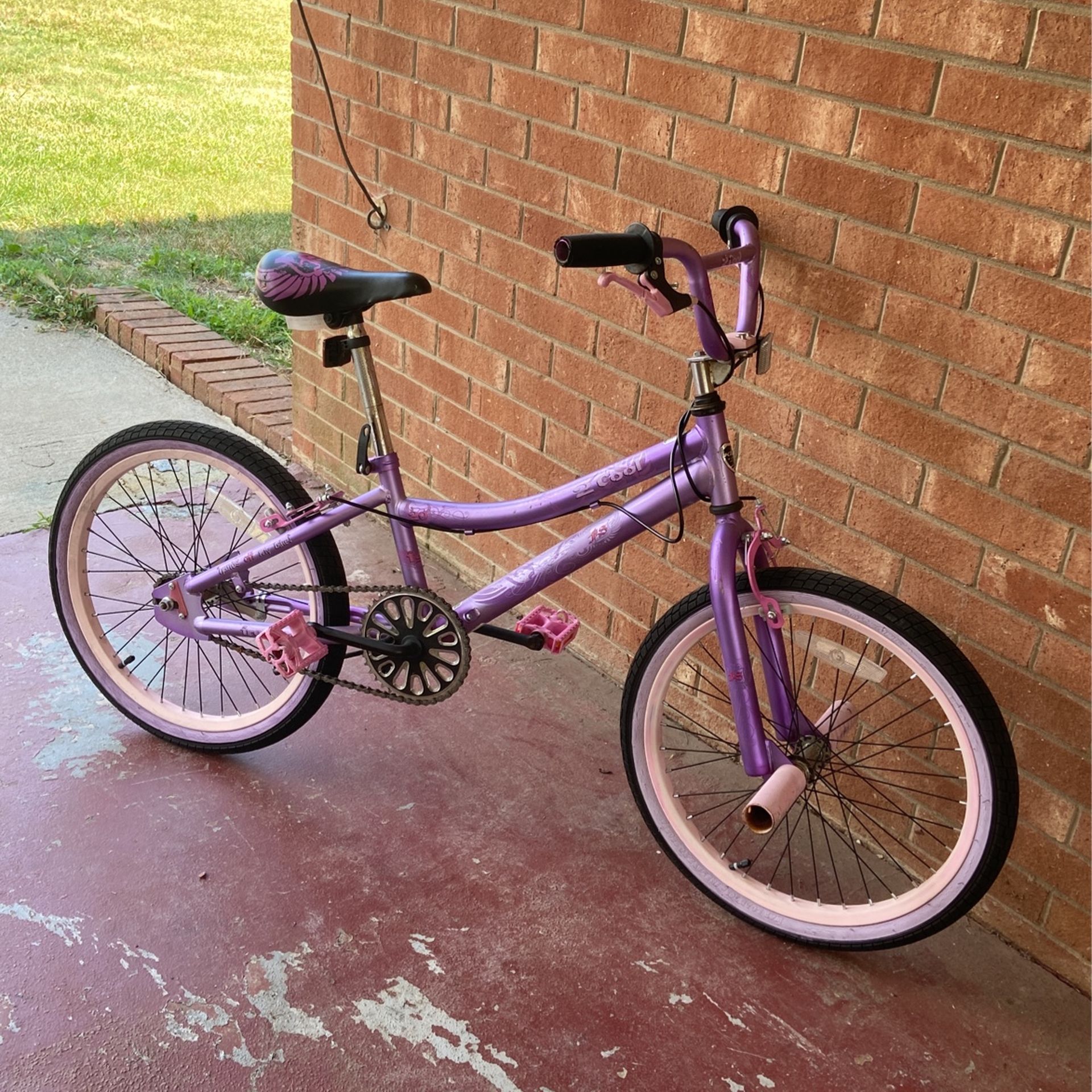 Purple 20 Inch Bike Mountain Bike