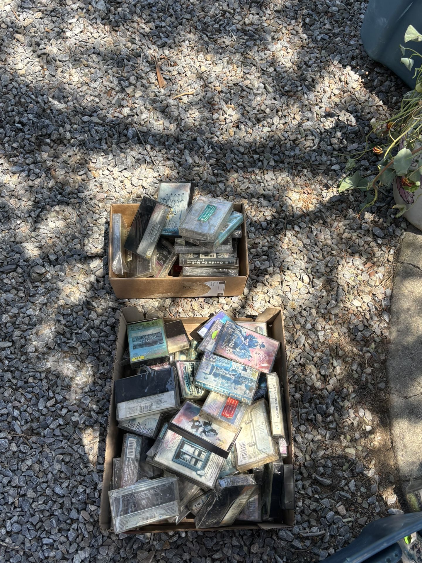 Spanish Music Cassettes