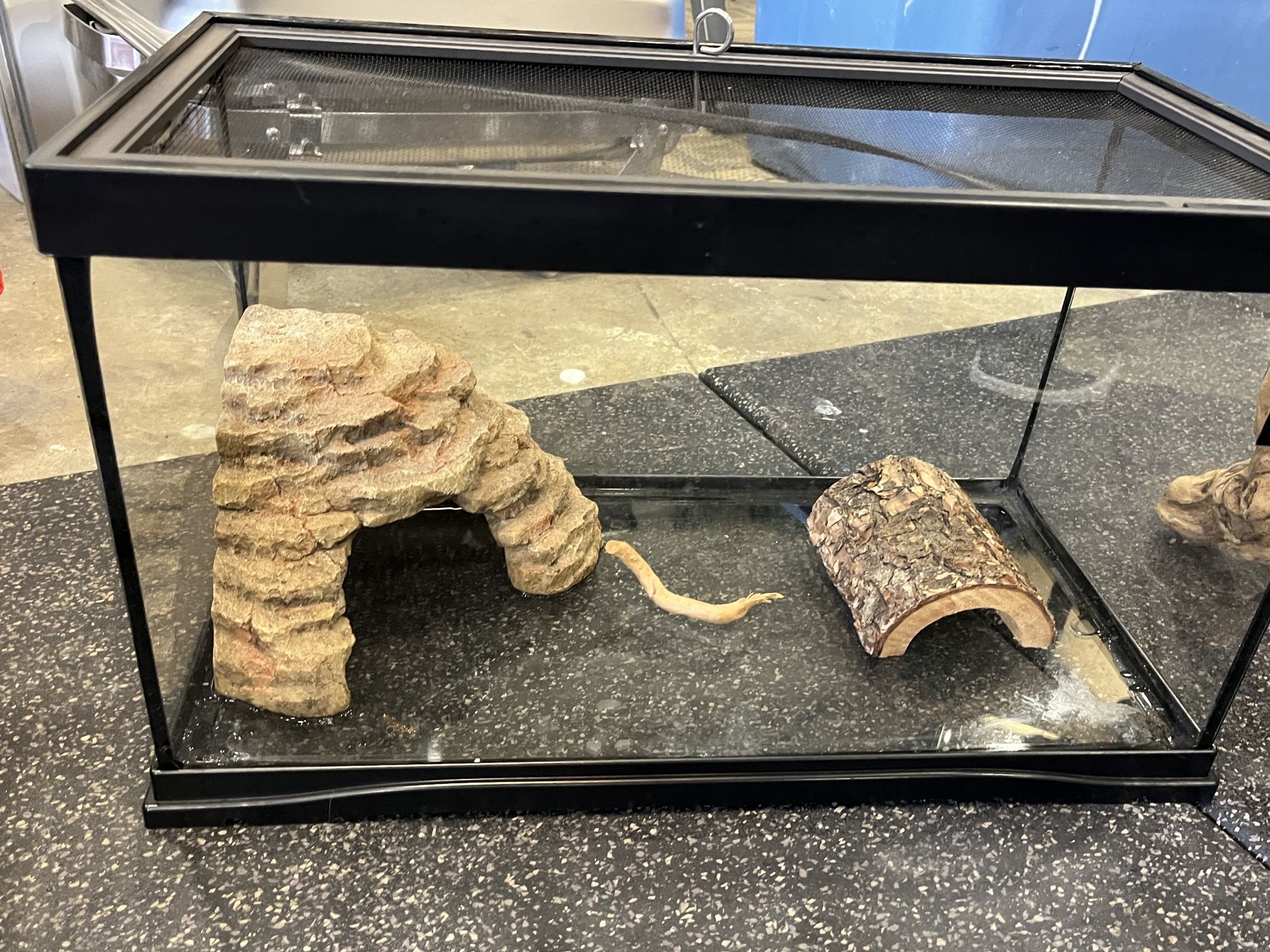 Aquarium Terrarium Reptile Enclosure