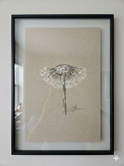 Pencil Drawing "dandelion" 11x14 "