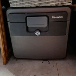 Sentrysafe