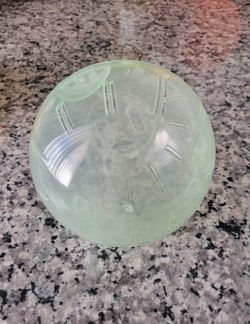 Hamster Ball