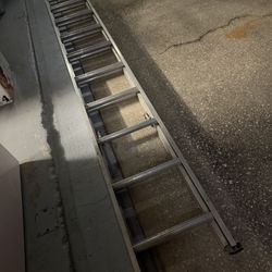 Ladder Aluminum 20ft