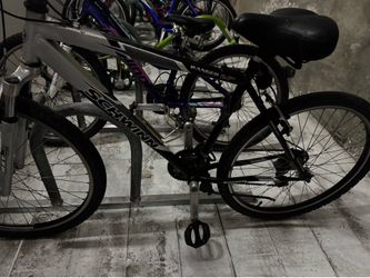 Adult Schwinn bike
