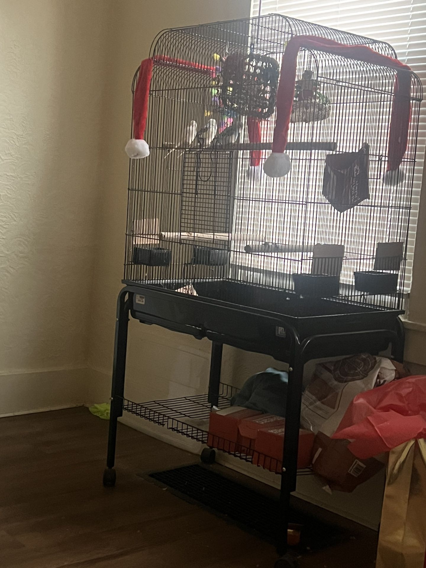 Large bird cage