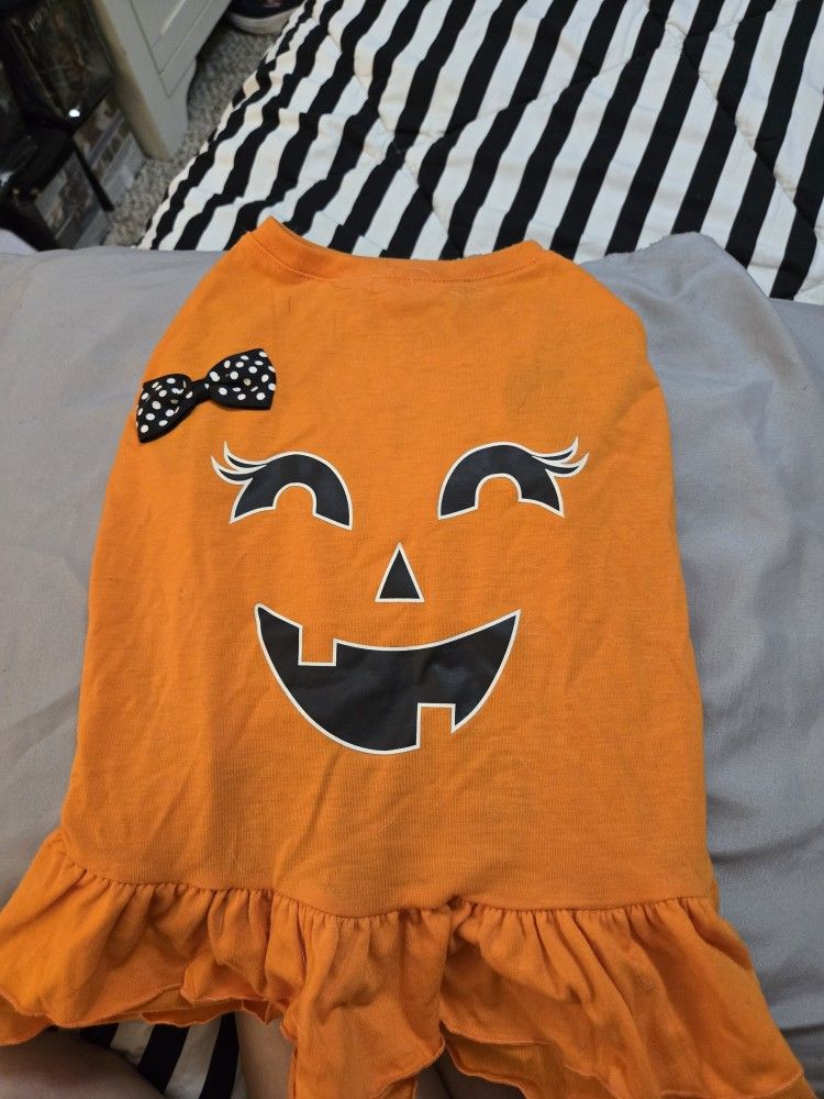 Dog Pumpkin Dress Halloween Costume.