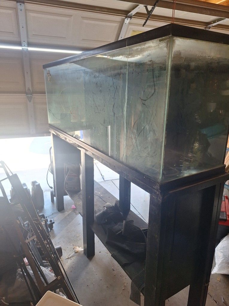 fish Tank