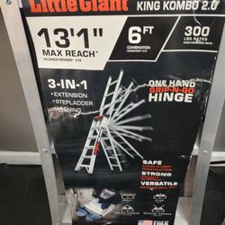 Little Giant Ladder 