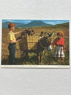 Unposted Postcard Collecting Turf From The Bog Ireland