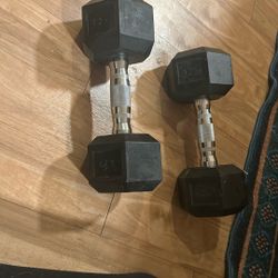 two 20 pound dumbbells