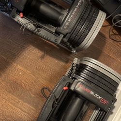 Powerblock Dumbbells With Expansion (70lbs)