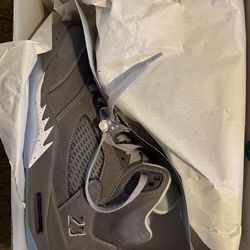 Cool grey 5s