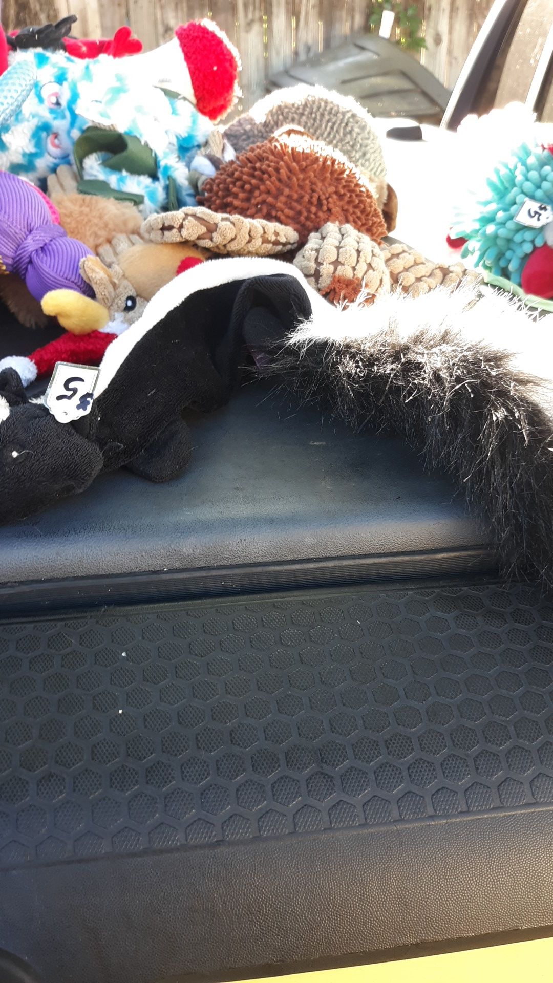 Pet toy with squeaker in it