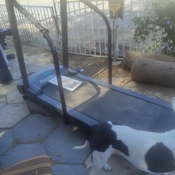 Treadmill PaceMaster Pro Club LT