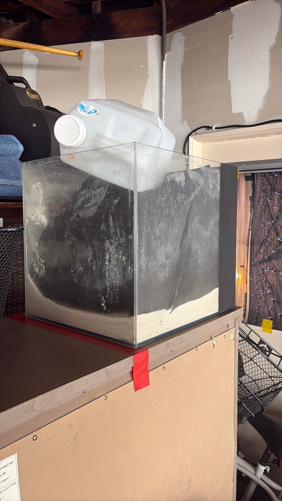 All In One Saltwater Fish Tank