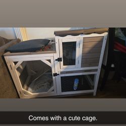 Cute Bunny Cage