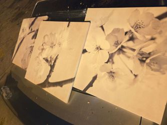 3 canvas flower paintings