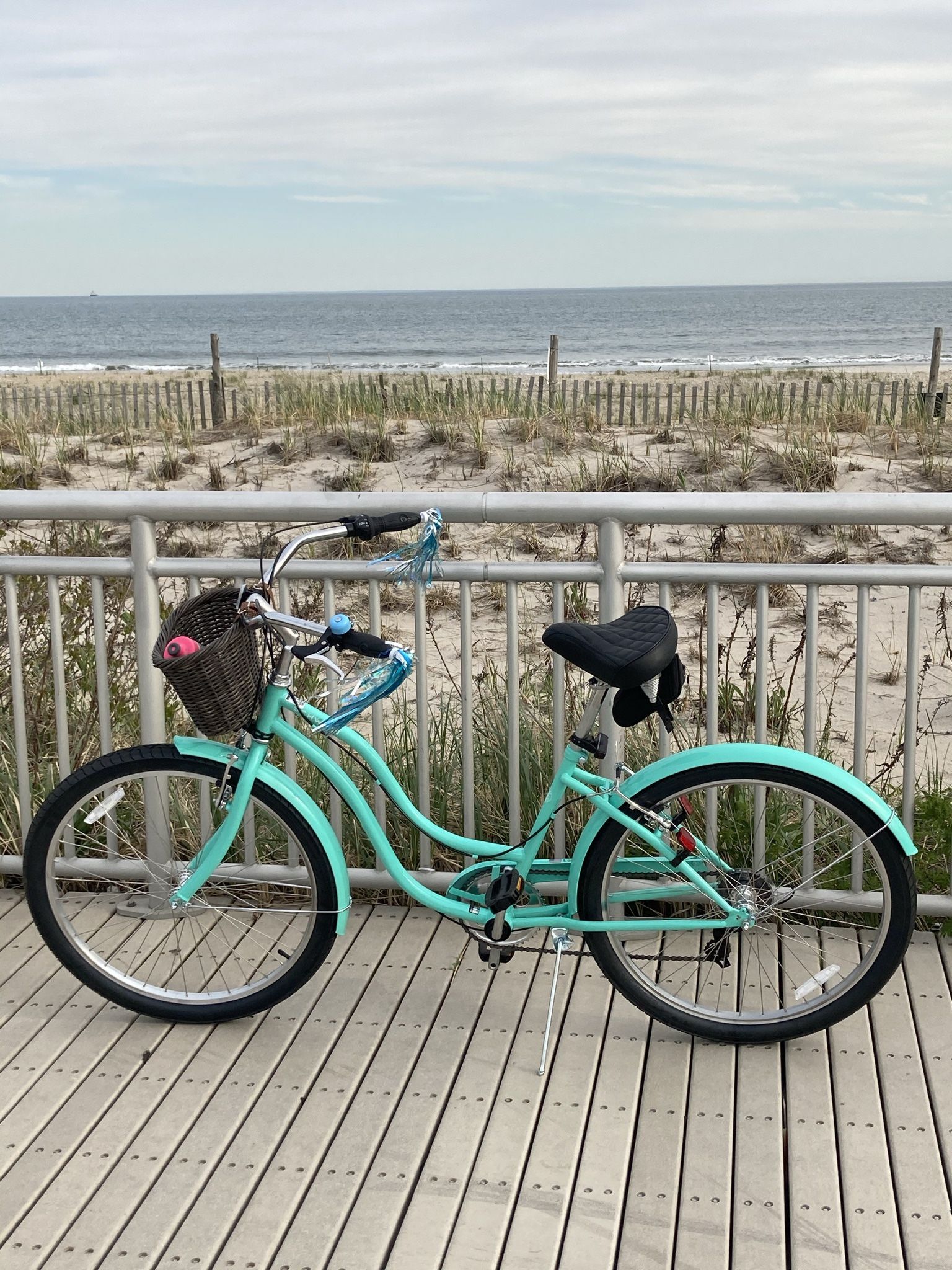 Beach cruiser Schwinn in playful Mint.