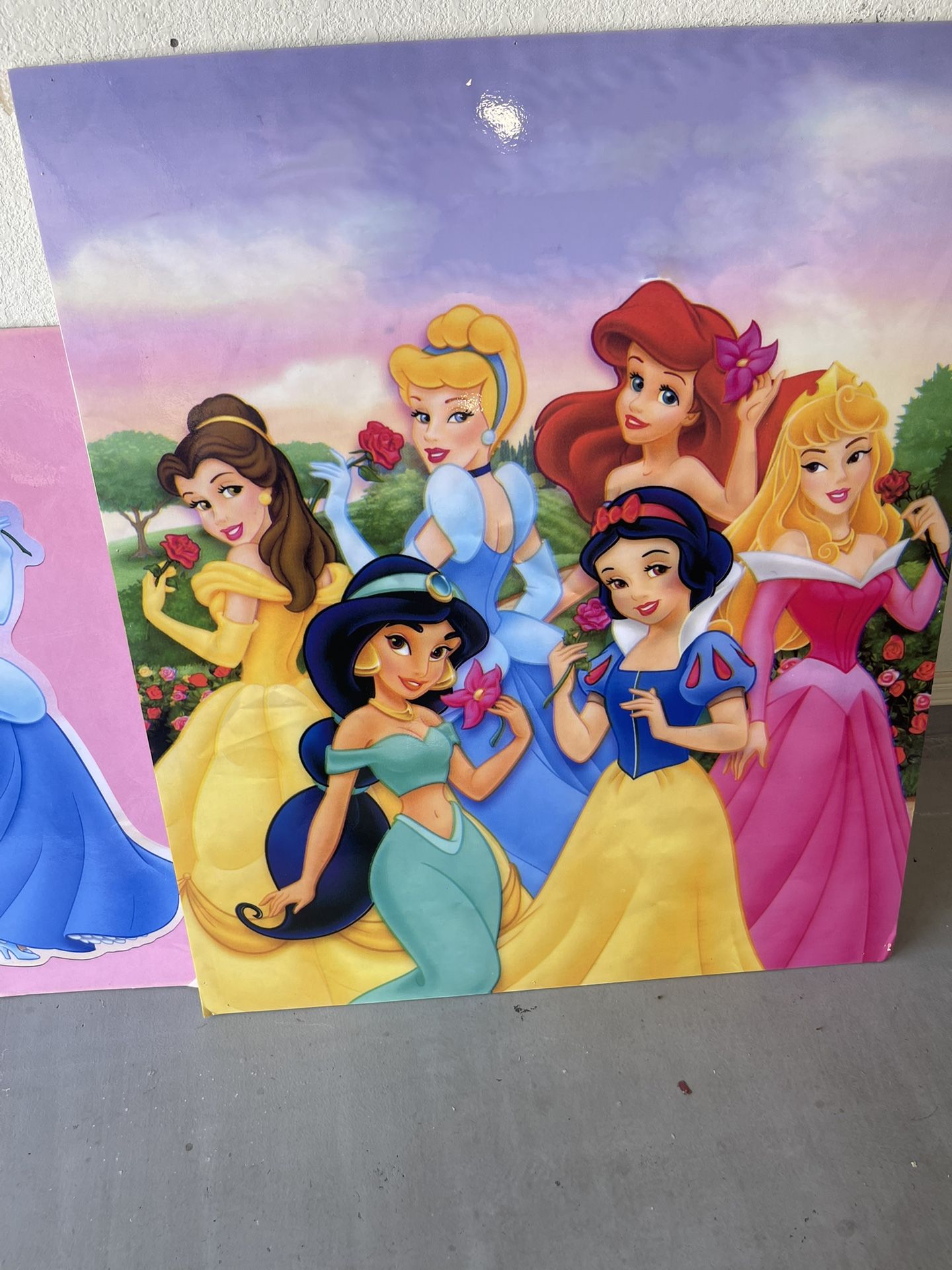 Picture Frames Disney Princesses