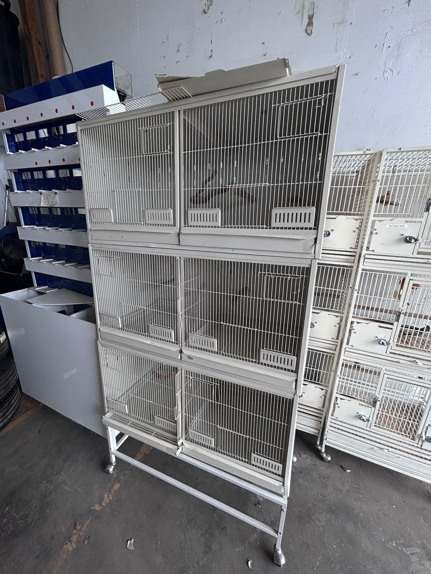 Bird Cages