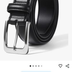 Men's Belts 