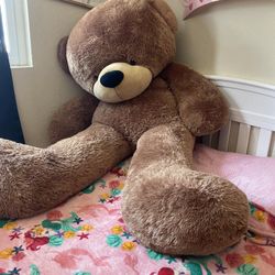 Big Teddy Bear