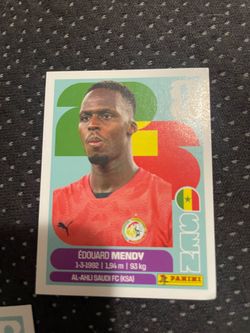FIFA world cup card