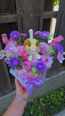 Kitten theme arragment