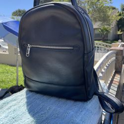 Little Black Purse/Backpack