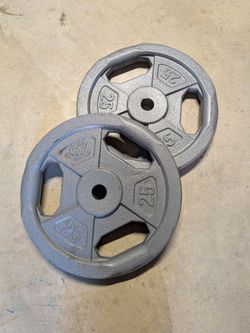2x 25 LB Olympic Weight Plates – 50 LB Total