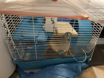 Hamster Cage Set Up